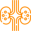 fun-facts-icon1